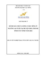 Đánh giá chất lượng cuộc sống Ở người cao tuổi tại huyện hoà thành tỉnh tây ninh năm 2024 Đồ Án tốt nghiệp thạc sĩ tổ chức quản lý dược