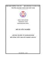 Đồ Án tốt nghiệp lập dự Án Đầu tư kinh doanh Đồ uống tốt cho sức khoẻ lofita