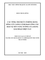 Tóm Tắt: Các tỉnh, thành ủy ở Đồng bằng sông Cửu Long lãnh đạo công tác bảo vệ nền tảng tư tưởng của Đảng giai đoạn hiện nay