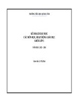 Khối 5   kế hoạch dạy học các môn học (2)