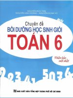 Chuyên Đề bồi dưỡng học sinh giỏi 6
