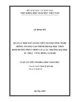 QUẢN LÝ ĐỘI NGŨ GIẢNG VIÊN NGÀNH CÔNG NGHỆ THÔNG TIN ĐÀO TẠO TRÌNH ĐỘ ĐẠI HỌC THEO ĐỊNH HƯỚNG PHÁT TRIỂN CỦA CÁC TRƯỜNG ĐẠI HỌC TƯ THỤC VÙNG ĐÔNG NAM BỘ