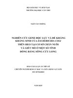 NGHIÊN CỨU GENE ĐỘC LỰC VÀ ĐỀ KHÁNG KHÁNG SINH CỦA ESCHERICHIA COLI TRÊN HEO TẠI CƠ SỞ CHĂN NUÔI VÀ GIẾT MỔ Ở MỘT SỐ TỈNH ĐỒNG BẰNG SÔNG CỬU LONG