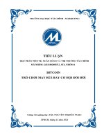 Tiểu luận tiền tệ, ngân hàng và thị trường tài chính  bitcoin   cơ hội và thách thức