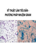 Kỹ thuật làm tiêu bản và phương pháp nhuộm Gram – Vi sinh