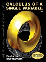 Calculus 10Th Edition Ron Larson.pdf
