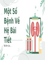 PPT GIỚI THIỆU MỘT SỐ BỆNH VỀ HỆ BÀI TIẾT