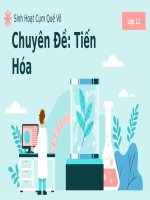 Chuyên đề tiến hoá