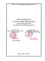 Báo cáo Đề xuất cấp giấy phép môi trường của nhà máy thủy Điện Đồng văn, tại xã Đồng văn, huyện quế phong, tỉnh nghệ an