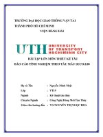 Báo cáo thực tập thiết kế dựa theo tàu mẫu SECO.L80