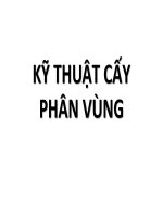 Tài liệu hướng dẫn kỹ thuật cấy phân phân vùng – Vi sinh học