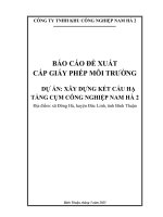 Báo cáo Đề xuất cấp giấy phép môi trường xây dựng kết cấu hạ tầng cụm công nghiệp nam hà 2 tại xã Đông hà, huyện Đức linh, tỉnh bình thuận