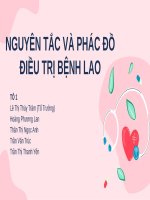 Nguyên tắc và phác đồ điều trị bệnh lao – Tài liệu y khoa