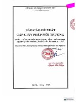 Báo cáo Đề xuất cấp giấy phép môi trường của cơ sở khu hỗn hợp trung tâm thương mại, dịch vụ văn phòng, nhà Ở và căn hộ cao cấp
