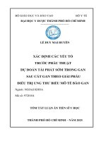 Tóm Tắt Xác Định Các Yếu Tố Trước Phẫu Thuật Dự Đoán Tái Phát Sớm Trong Gan Sau Cắt Gan Theo Giải Phẫu Điều Trị Ung Thư Biểu Mô Tế Bào Gan