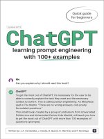 Chatgpt prompt engineering