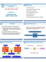 TỔNG QUAN VỀ KINH TẾ VI MÔ