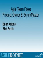 Agile team member