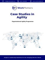 Case studies in agility