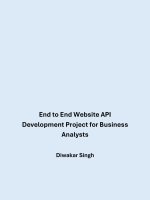 End to end website api development project for business anal