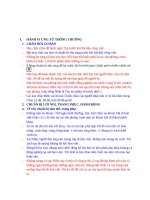 Tiểu luận - KỸ NĂNG GIAO TIẾP TRONG KINH DOANH - đề tài -  NHẬT BẢN & VĂN HÓA GIAO TIẾP TRONG  KINH DOANH