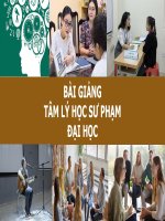 Bài Giảng -  Tâm Lý Học Sư Phạm Đại Học ( combo full slides 5 chương )