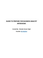 Ba Interview Guide.pdf