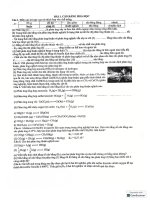 Ôn tập chương 1 hoá 11