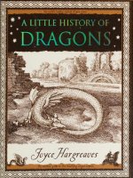 Full little history of dragons