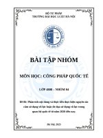 Phân tích nội dung và thực tiễn thực hiện nguyên tắc cấm sử dụng vũ lực hoặc Đe dọa sử dụng vũ lực trong quan hệ quốc tế từ năm 2020 Đến nay