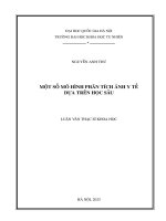Một số mô hình phân tích Ảnh y tế dựa trên học sâu (tt)