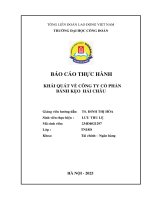 Báo cáo thực hành khái quát về công ty cổ phần bánh kẹo hải châu'