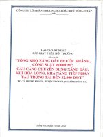 Giấy phép Môi trường Tổng kho xăng dầu Phước Khánh