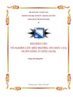 Báo cáo về nghiên cứu môi trường tổ chức của ngân hàng Á châu (acb)