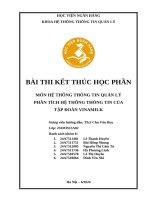 Môn hệ thống thông tin quản lý phân tích hệ thống thông tin của tập Đoàn vinamilk