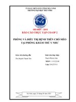Báo cáo thực tập co op 2 phòng và Điều trị bệnh trên chó mèo tại phòng khám thú y như