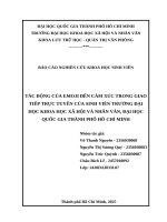 Tác Động của emoji Đến cảm xúc trong giao tiếp trực tuyến của sinh viên trường Đại học khoa học xã hội và nhân văn, Đại học quốc gia thành phố hồ chí minh