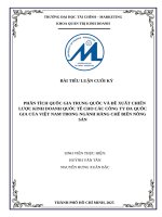 Phân tích quốc gia trung quốc và Đề xuất chiến lược kinh doanh quốc tế cho các công ty Đa quốc gia của việt nam trong ngành hàng chế biến nông sản