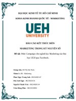 Marketing trong kỷ nguyên số Đề tài mini campaign cho ngành học marketing của Đại học ueh qua facebook