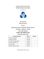 Bài tập lớn môn giải tích 1 Đề tài direction fields và phương trình logistic