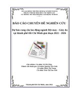 Báo cáo chuyên Đề nghiên cứu dự báo cung cầu lao Động ngành dệt may   giày da tại thành phố hồ chí minh giai Đoạn 2022   2026