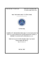 tóm tắt NGHIÊN CỨU THÀNH PHẦN HÓA HỌC VÀ TÁC DỤNG BẢO VỆ GAN CỦA LOÀI SYMPLOCOS COCHINCHINENSIS (LOUR.) S. MOORE VÀ LOÀI ECLIPTA PROSTRATA (L.) L
