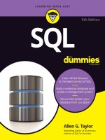 Sql For Dummies.pdf