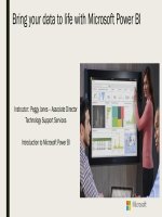 Pbi-Slides-Shortcourse_Handout.pdf