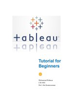 Tableau-Tutorial-For-Beginners.pdf