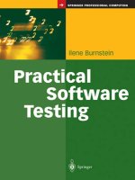 Practical-Software-Testing.pdf