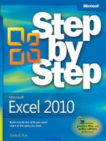 Microsoft Excel 2010 Step By Step.pdf