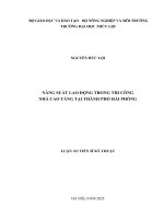 Năng suất lao Động trong thi công nhà cao tầng tại thành phố hải phòng