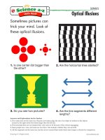 02 sensesk 2 qr opt illusions mid