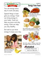 03 energyk 2 qr energy from food mid